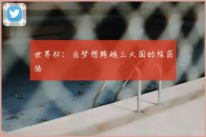 世界杯：当梦想跨越三大国的绿茵场