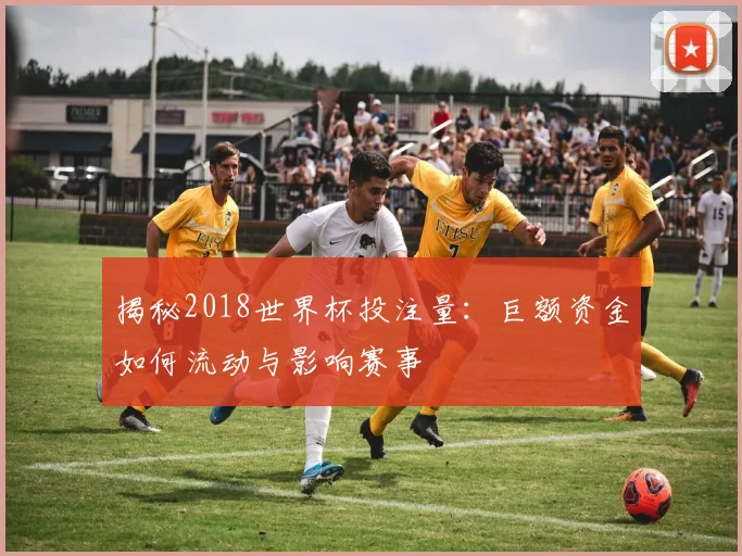 揭秘2018世界杯投注量：巨额资金如何流动与影响赛事