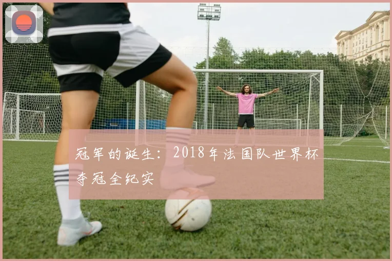 冠军的诞生：2018年法国队世界杯夺冠全纪实