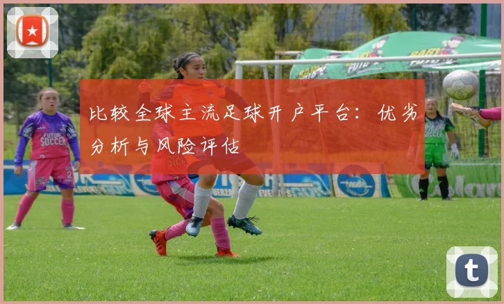 比较全球主流足球开户平台：优劣分析与风险评估