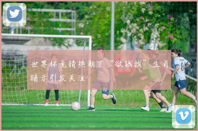 世界杯竞猜热潮下“欲钱找”生肖暗示引发关注